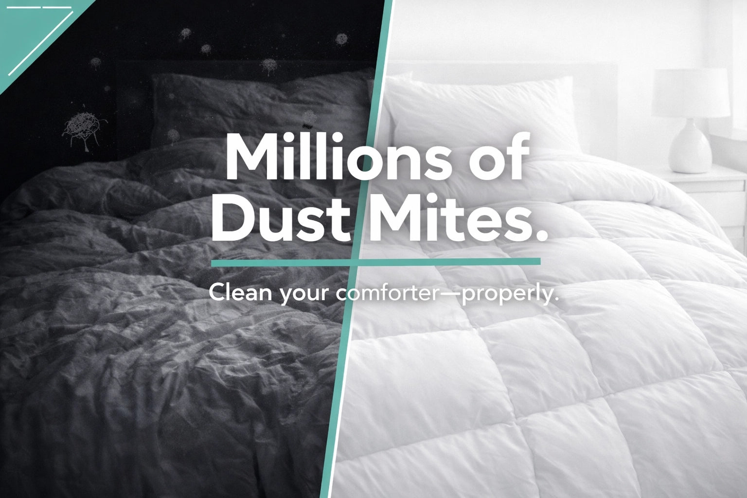 Is Your Comforter a Biohazard? 🦠 The Modern Guide to Better Sleep ...